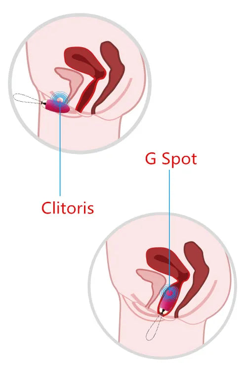 Svakom Elva Remote Controlled 3 Wearable Intelligent Bullet Vibrator