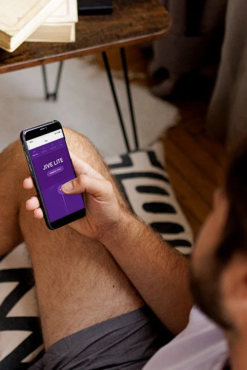 We-Vibe Jive Lite 4 Wearable Egg Vibrator